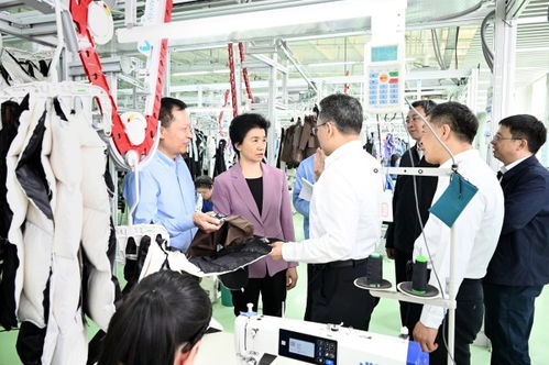 黑龍江省農產品精深加工業高質量發展推進會議在綏化海倫市召開